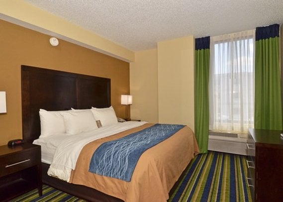 Hotel Comfort Inn  | Lantana | Florida | United States 17