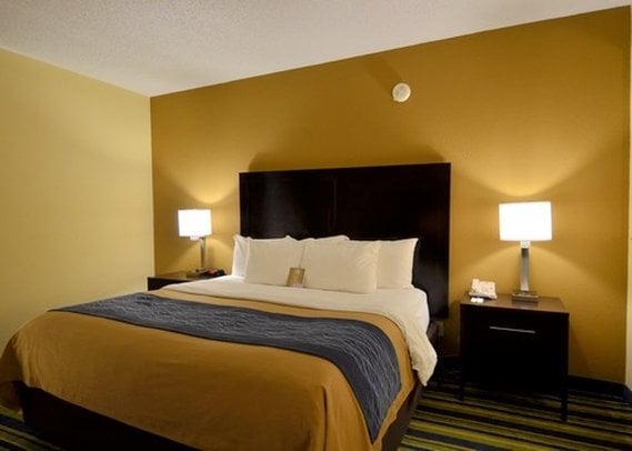 Hotel Comfort Inn  | Lantana | Florida | United States 20