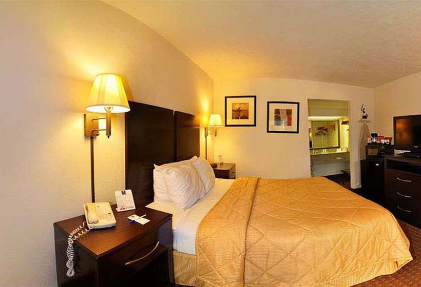Hotel Quality Inn & Suites Panama City  | Panama City | Florida | United States 13
