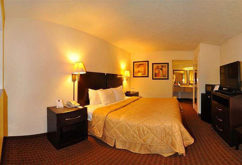 Hotel Quality Inn & Suites Panama City  | Panama City | Florida | United States 15