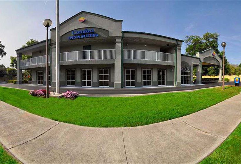 Hotel Quality Inn & Suites Panama City  | Panama City | Florida | United States 6