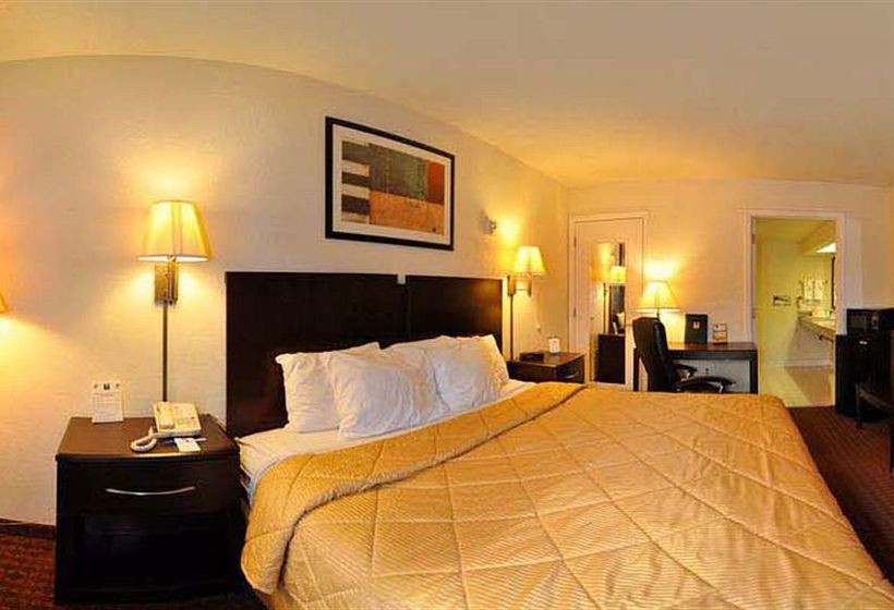 Hotel Quality Inn & Suites Panama City  | Panama City | Florida | United States 9