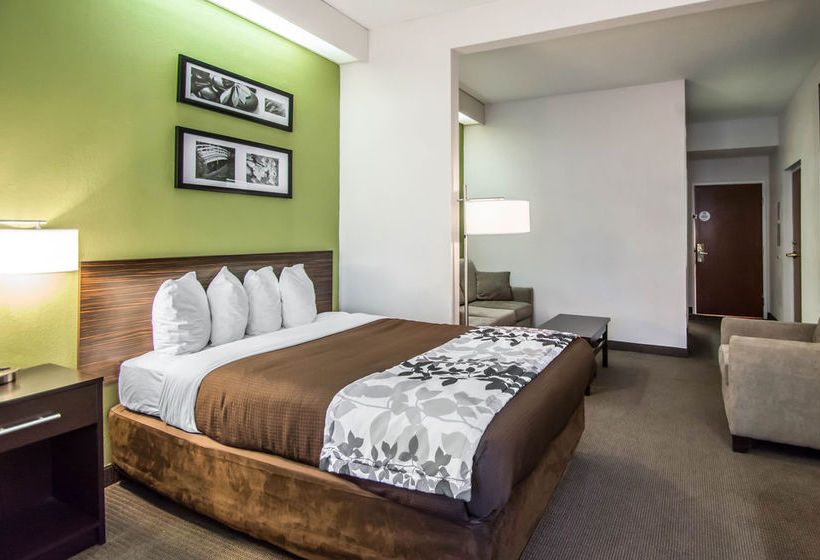 Hotel Sleep Inn Saint Augustine  | Saint Augustine | Florida | Estados Unidos 12