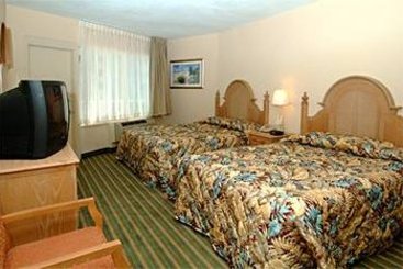 Hotel Conch House  | Daytona Beach | Florida | United States 12