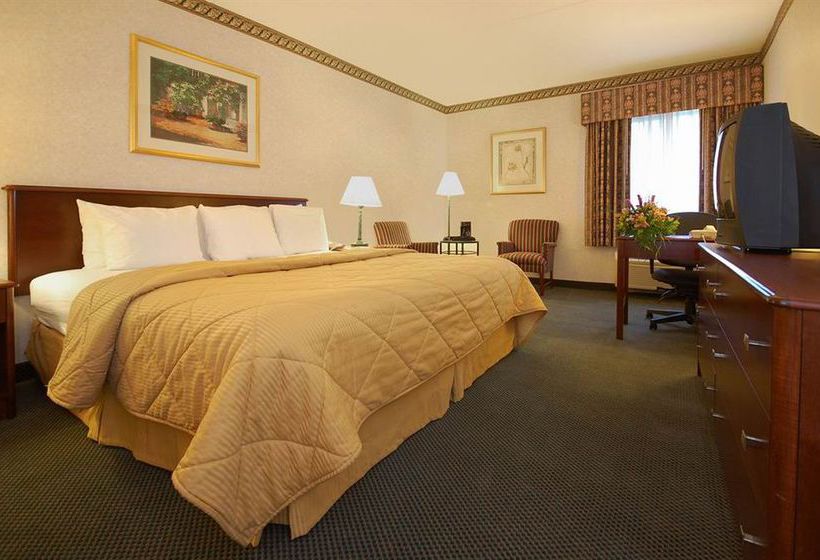 Hotel Comfort Inn Boston  | Boston | Massachusetts | United States 4