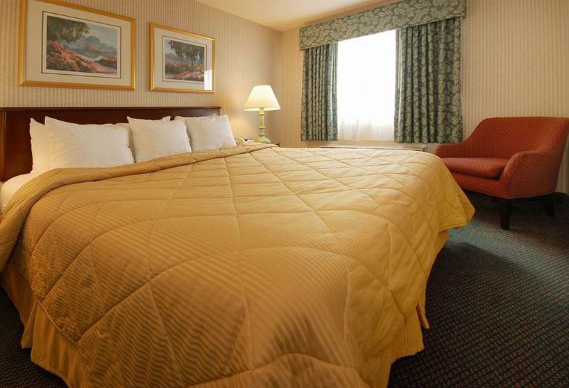 Hotel Comfort Inn Boston  | Boston | Massachusetts | United States 5