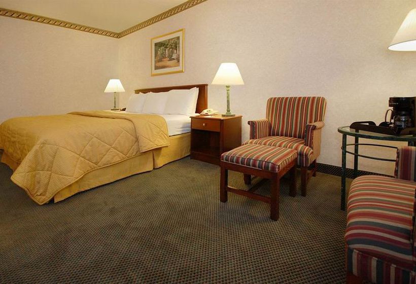 Hotel Comfort Inn Boston  | Boston | Massachusetts | United States 6