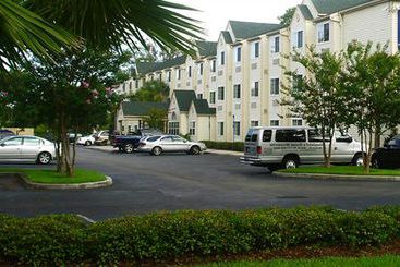 Microtel Inn & Suites Jacksonville Butler Blvd  | Jacksonville | Florida | United States 3