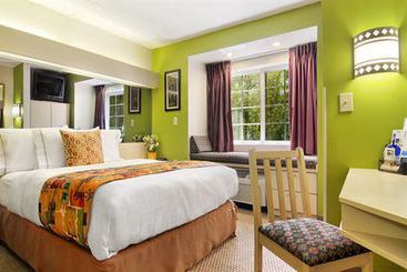 Microtel Inn & Suites Jacksonville Butler Blvd  | Jacksonville | Florida | United States 6