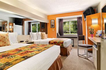Microtel Inn & Suites Jacksonville Butler Blvd  | Jacksonville | Florida | United States 8