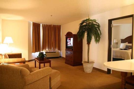 Hotel Hampton Inn & Suites Tarpon Springs  | Tarpon Springs | Florida | United States 4