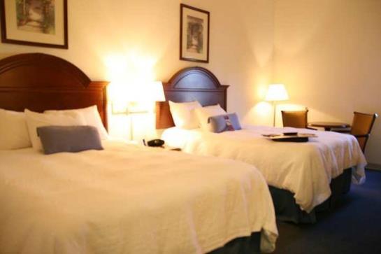 Hotel Hampton Inn & Suites Tarpon Springs  | Tarpon Springs | Florida | United States 8