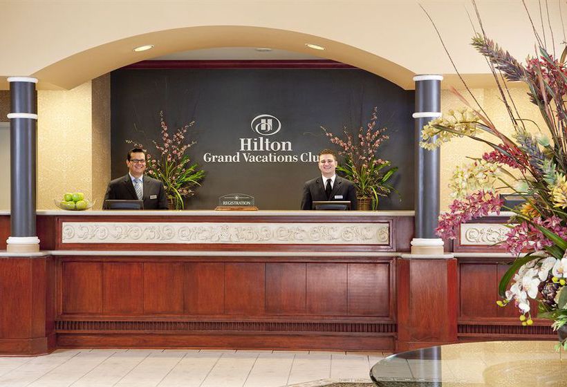 Hotel Hilton Grand Vacations Suites - Las Vegas (Convention Center)  | Las Vegas | Nevada | United States 10