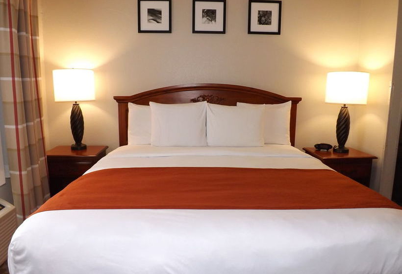 Hotel Country Inn & Suites Ocala  | Ocala | Florida | United States 12