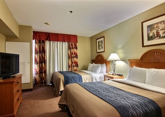 Hotel Comfort Inn & Suites Saint Augustine  | Saint Augustine | Florida | Estados Unidos 10