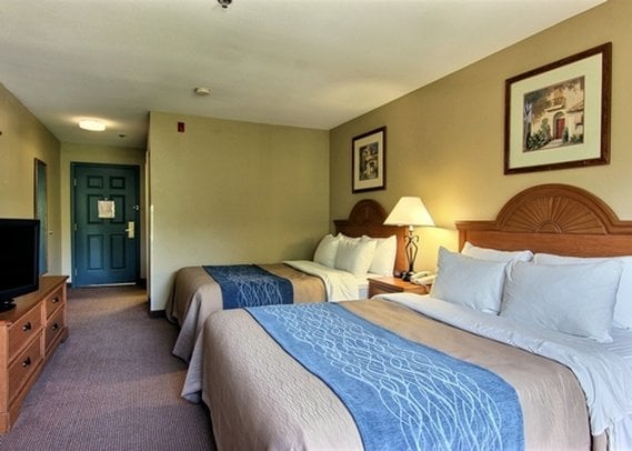 Hotel Comfort Inn & Suites Saint Augustine  | Saint Augustine | Florida | Estados Unidos 19