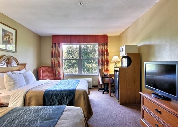 Hotel Comfort Inn & Suites Saint Augustine  | Saint Augustine | Florida | Estados Unidos 3