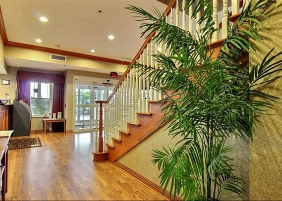 Hotel Comfort Inn & Suites Saint Augustine  | Saint Augustine | Florida | Estados Unidos 4