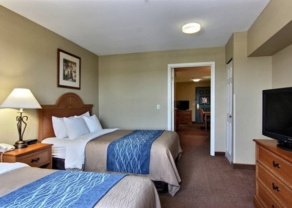 Hotel Comfort Inn & Suites Saint Augustine  | Saint Augustine | Florida | Estados Unidos 8