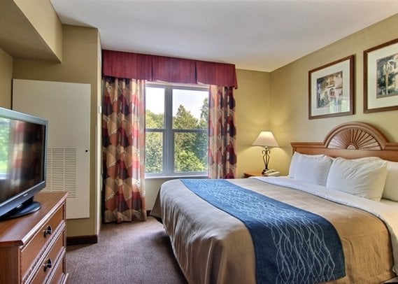 Hotel Comfort Inn & Suites Saint Augustine  | Saint Augustine | Florida | Estados Unidos 9