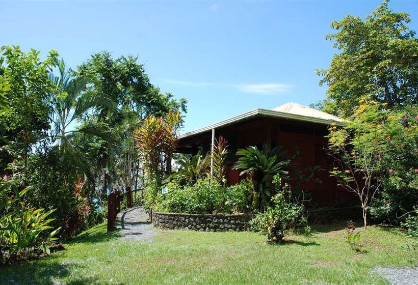 Hotel Tiskita Jungle Lodge  | Golfo Dulce | Puntarenas | Costa Rica 1