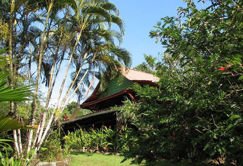 Hotel Tiskita Jungle Lodge  | Golfo Dulce | Puntarenas | Costa Rica 10