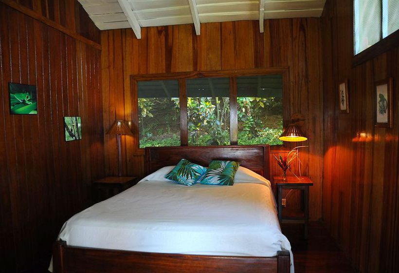 Hotel Tiskita Jungle Lodge  | Golfo Dulce | Puntarenas | Costa Rica 12