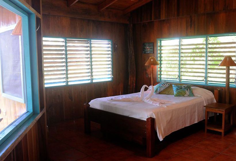 Hotel Tiskita Jungle Lodge  | Golfo Dulce | Puntarenas | Costa Rica 14