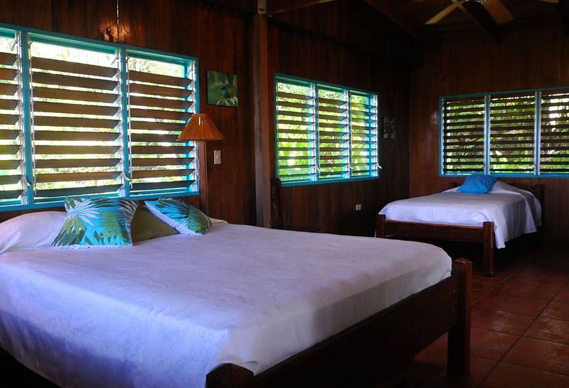 Hotel Tiskita Jungle Lodge  | Golfo Dulce | Puntarenas | Costa Rica 15