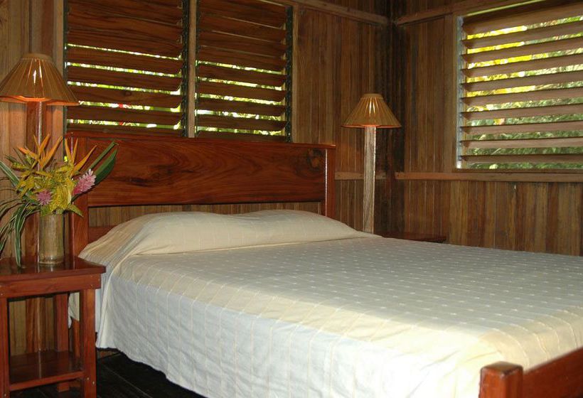 Hotel Tiskita Jungle Lodge  | Golfo Dulce | Puntarenas | Costa Rica 16