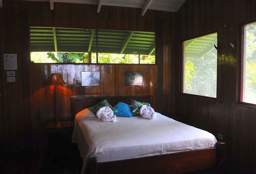 Hotel Tiskita Jungle Lodge  | Golfo Dulce | Puntarenas | Costa Rica 19