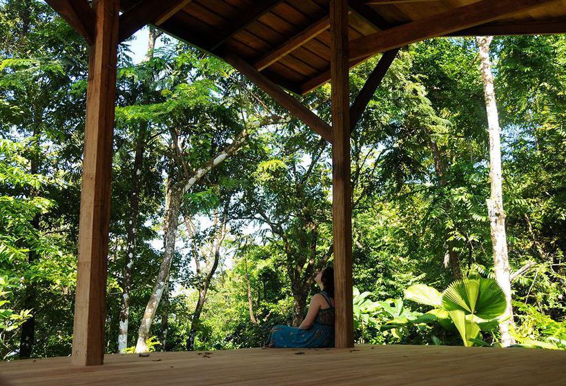 Hotel Tiskita Jungle Lodge  | Golfo Dulce | Puntarenas | Costa Rica 2