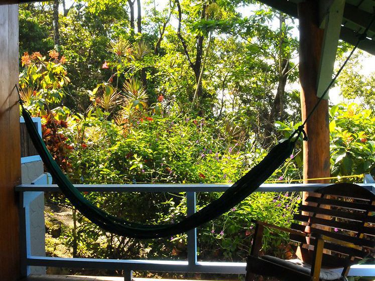 Hotel Tiskita Jungle Lodge  | Golfo Dulce | Puntarenas | Costa Rica 3