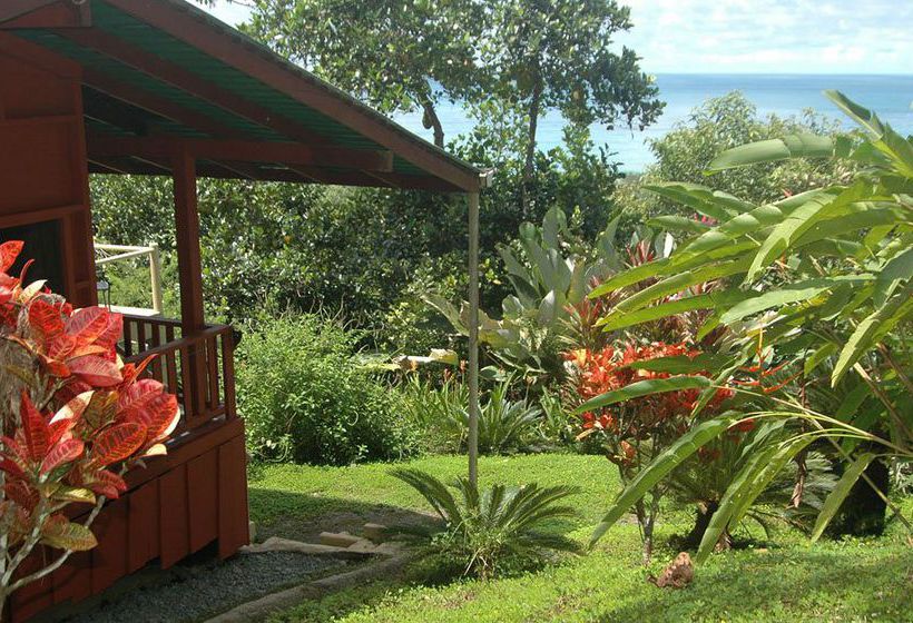 Hotel Tiskita Jungle Lodge  | Golfo Dulce | Puntarenas | Costa Rica 4