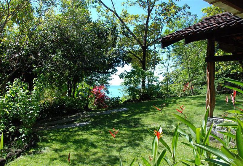 Hotel Tiskita Jungle Lodge  | Golfo Dulce | Puntarenas | Costa Rica 6