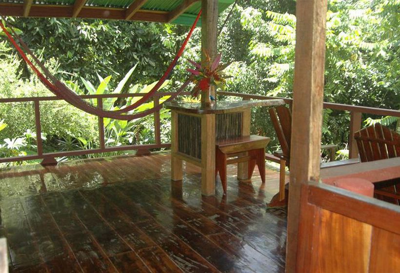 Hotel Tiskita Jungle Lodge  | Golfo Dulce | Puntarenas | Costa Rica 7