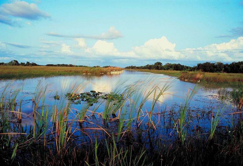 Hotel Hampton Inn Naples-Central  | Naples | Florida | United States 7