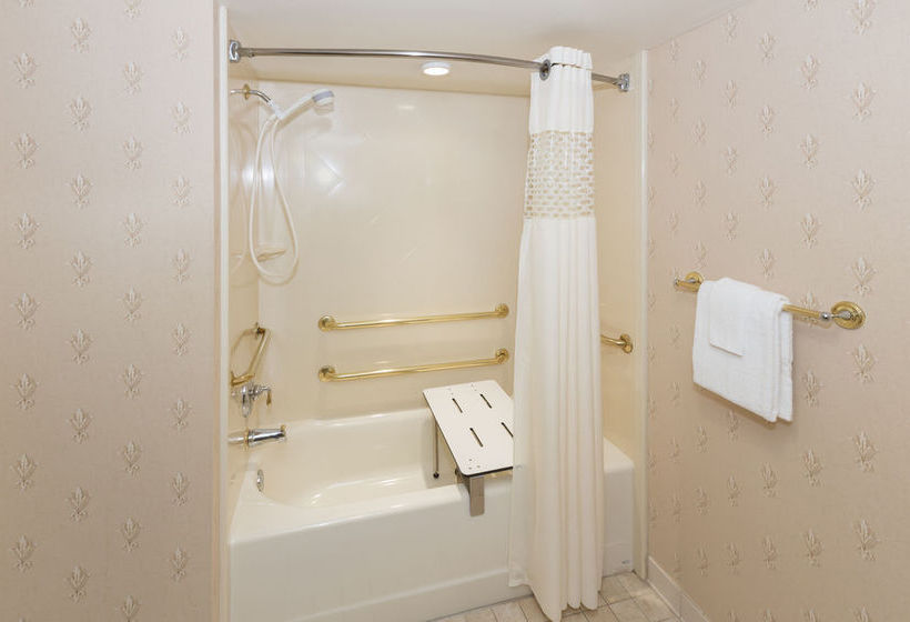 Hotel Hampton Inn Buffalo-Williamsville  | Williamsville | Nueva York | United States 18