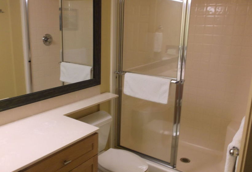 Resort Daytona Beach Regency  | Daytona Beach | Florida | United States 8