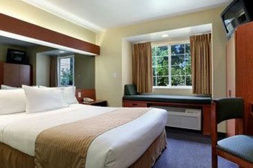Microtel Inn & Suites Ocala  | Ocala | Florida | United States 5