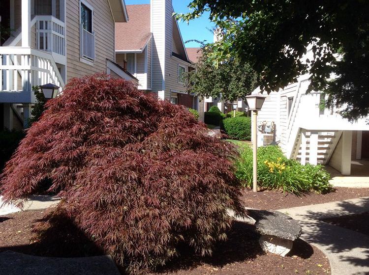 Residence Inn by Marriott Fishkill  | Fishkill | Nueva York | Hotel negli Stati Uniti 4