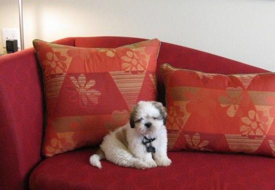 Hotel Residence Inn Miami Aventura Mall  | Aventura | Florida | United States 12