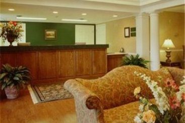 Hotel Jameson Inn Jacksonville  | Jacksonville | Florida | United States 2