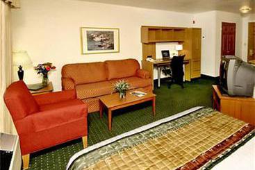 Hotel TownePlace Suites by Marriott Clearwater  | Clearwater | Florida | United States 2