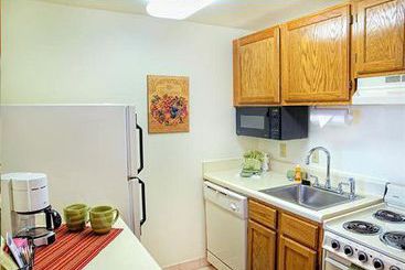 Hotel TownePlace Suites by Marriott Clearwater  | Clearwater | Florida | United States 9