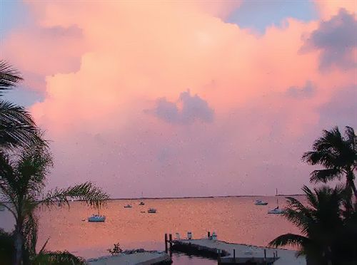 Hotel Bayside Inn Key Largo  | Key Largo | Florida | United States 14