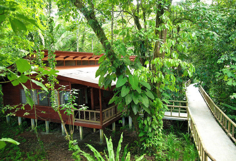 Hotel Evergreen Lodge  | Tortuguero | Limón | Costa Rica 1