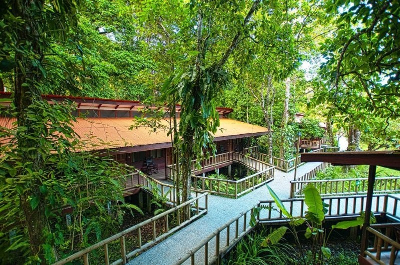 Hotel Evergreen Lodge  | Tortuguero | Limón | Costa Rica 11