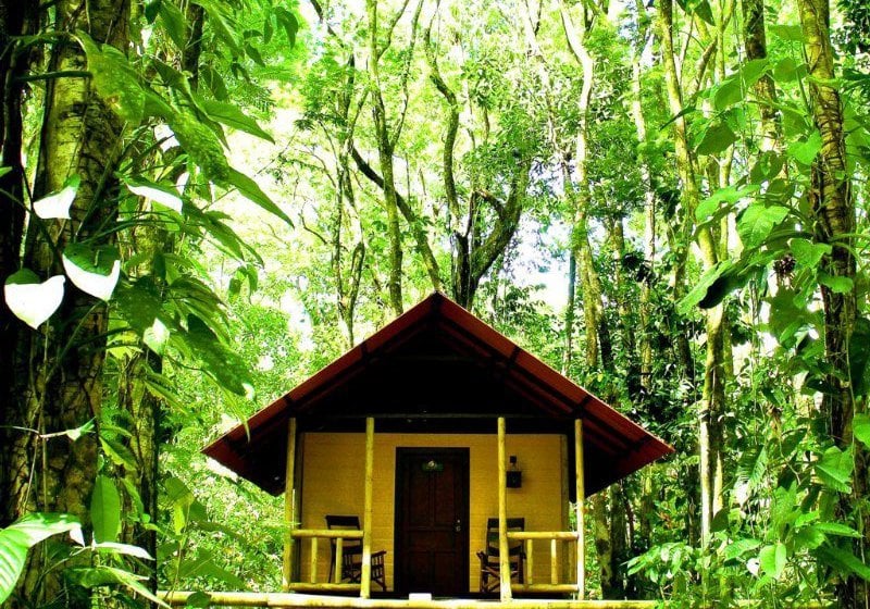 Hotel Evergreen Lodge  | Tortuguero | Limón | Costa Rica 16