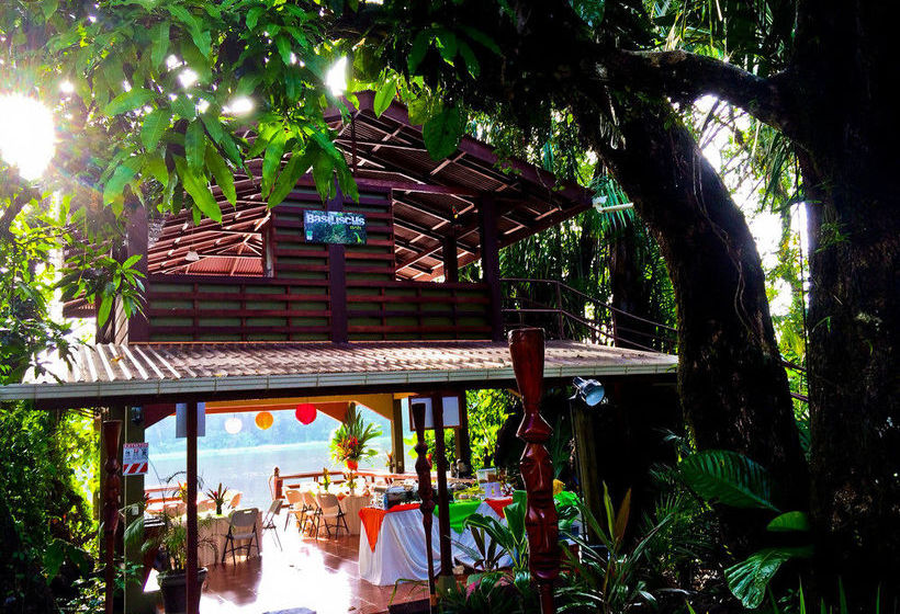 Hotel Evergreen Lodge  | Tortuguero | Limón | Costa Rica 7